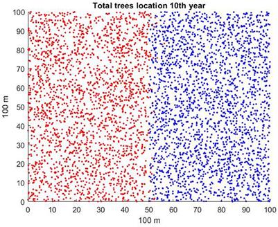 Seed dispersal and tree legacies influence spatial patterns of plant invasion dynamics